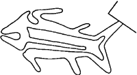 Nazca fish