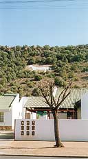 Bloemfontein White Horse