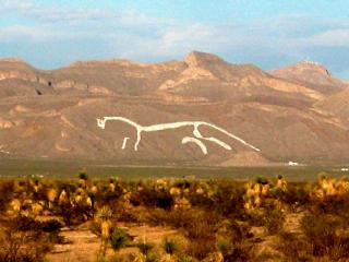 Jurez Whitehorse