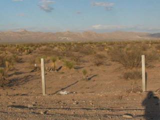 Jurez Whitehorse