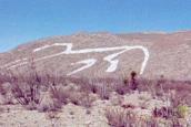 Jurez Whitehorse
