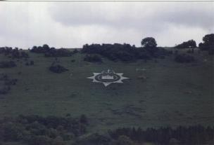 Devonshire Reg
