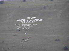 Royal Wilts Yeomanry