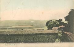 Alton Barnes White Horse