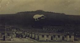 Bulford Kiwi