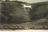 Cherhill White Horse
