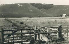 Littlington White Horse