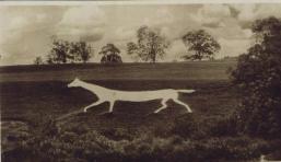Marlborough White Horse
