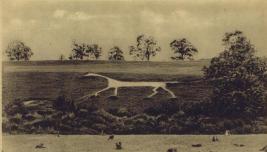 Marlborough White Horse