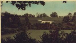 Marlborough White Horse