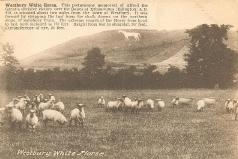 Westbury White Horse