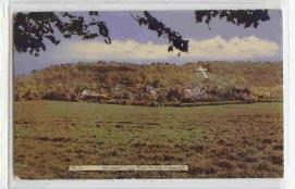 Whiteleaf Cross