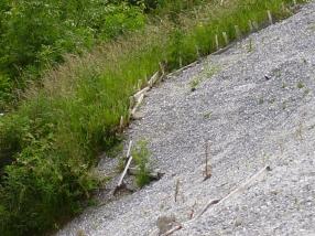 Shuttering