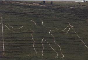 The Long Man from the Road
