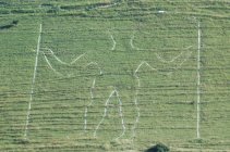 The Long Man 2006