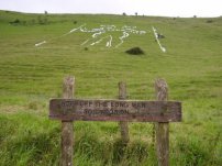 Long Man / Woman