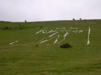 Long Man / Woman