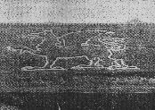 The Dragon in the 1930's