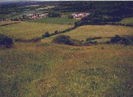The Cross in 1998