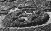 Close Up of the Excavated Godess in 1954