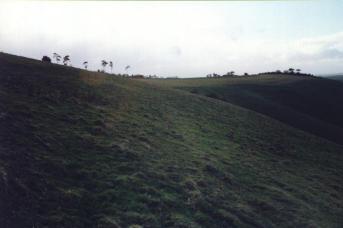 Inkpen Horse Site