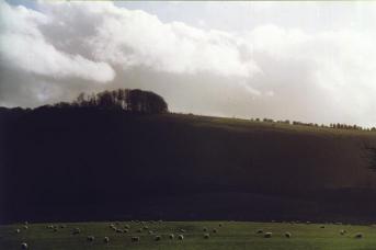 Inkpen Horse Site