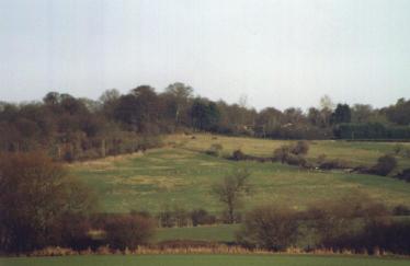 Shotover Hill