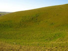 Tan Hill Donkey