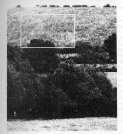 Aerial Photo of the First Tysoe Horse