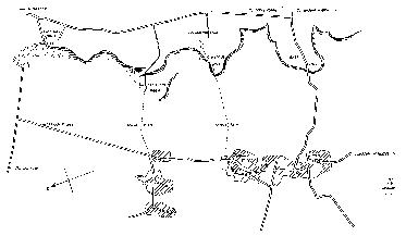 Location Map of the Tysoe Horses
