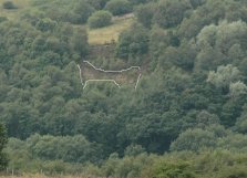 The Drawn outline