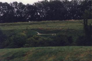The Horse from a Distance