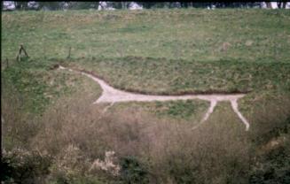 The Horse from a Distance