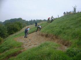 Scouring the Horse