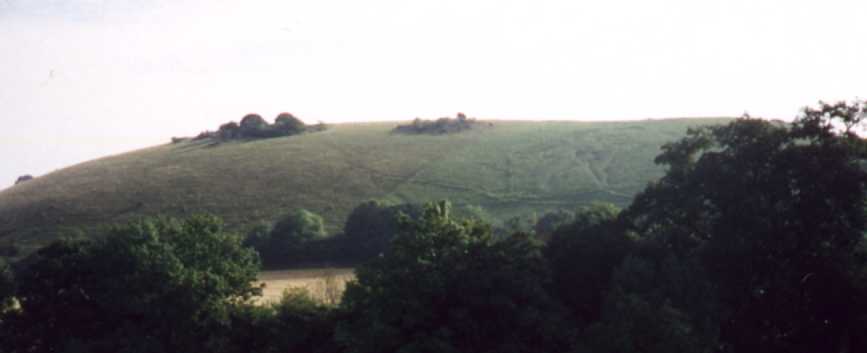 giant.jpg (15357 bytes)
