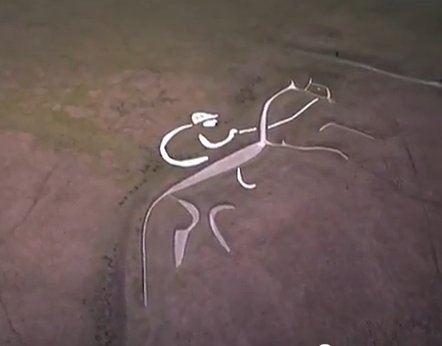 Paddy Power Video