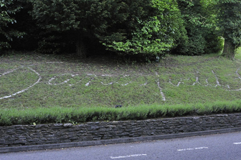 Danesfield