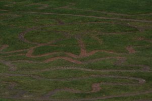 Trevithick Maze