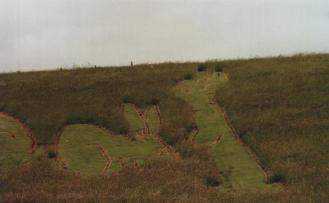 Left Two Rabbits