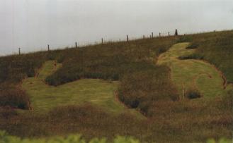 Right Two Rabbits