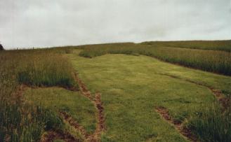 Close Up of the Trench