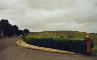 Rabbits from a Distance