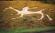 West Clandon Dragon