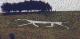 Hackpen White Horse