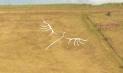 Whitehawk Hawk