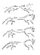 Diagram of Changes over the Years