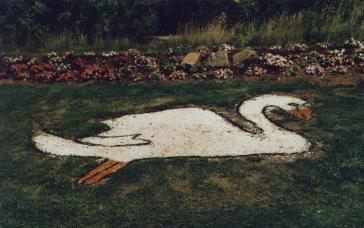 The Swan sfter Tiding Up in 2001