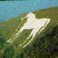 The Horse from a Distance