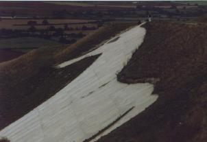 The Horse showing concrete lines