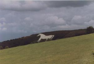 The Horse from a Distance